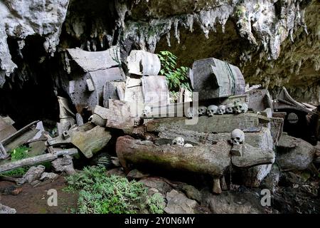 Lo storico sito di sepoltura di Lombok Parinding a Tana Toraja, teschi umani, ossa e bare di legno esposti nella spettacolare tomba grotta di Sulawesi Foto Stock