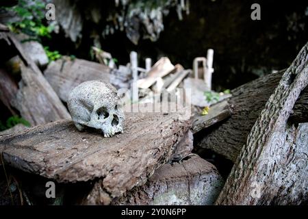 Lo storico sito di sepoltura di Lombok Parinding a Tana Toraja, teschi umani, ossa e bare di legno esposti nella spettacolare tomba grotta di Sulawesi Foto Stock
