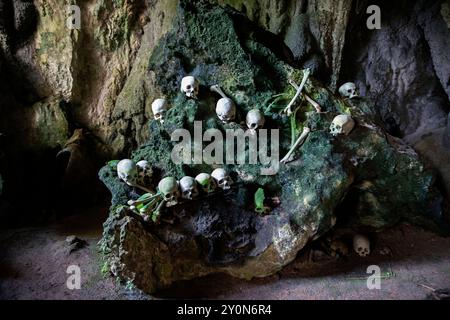 Teschi e ossa umani antichi all'interno di una grotta funeraria sacra, un sito ereditario funerario tradizionale del popolo Toraja a Tana Toraja, Indonesia. Foto Stock