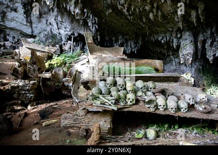 Lo storico sito di sepoltura di Lombok Parinding a Tana Toraja, teschi umani, ossa e bare di legno esposti nella spettacolare tomba grotta di Sulawesi Foto Stock