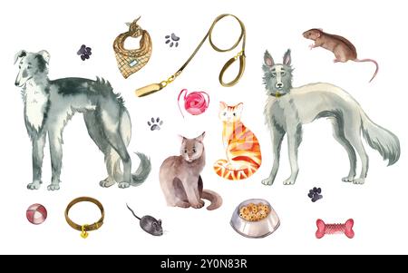 Una serie di illustrazioni ad acquerello. Animali domestici, cani di razze diverse, gatti, topi addomesticati, topo, guinzagli, giocattoli per animali domestici, cibo. Tutti gli oggetti sono disegnati a mano con Foto Stock