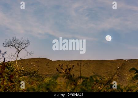 La luna quasi piena sorge sul monte Iguaque, nelle Ande orientali della Colombia centrale, su un cielo limpido e fatato al tramonto. Foto Stock