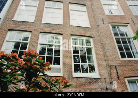 Vista dettagliata della finestra ad angolo basso Foto Stock
