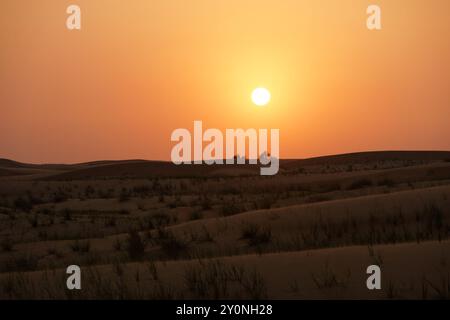 Sole serale sulle dune di sabbia di Dubai Foto Stock