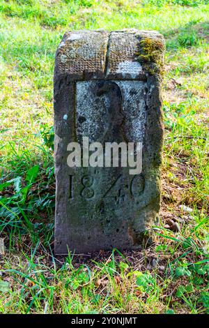 La pietra di confine n. 22 in un luogo storico. Parco Lange Erlen, Riehen/Weil am Rhein, confine svizzero-tedesco. Foto Stock