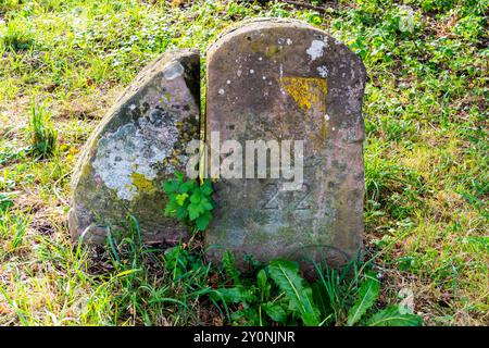 La pietra di confine n. 22 in un luogo storico. Parco Lange Erlen, Riehen/Weil am Rhein, confine svizzero-tedesco. Foto Stock