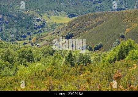 Catena dei Monti Cantabrici (alto Sil, León) nel nord della Spagna Foto Stock