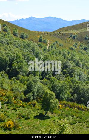 Catena dei Monti Cantabrici (alto Sil, León) nel nord della Spagna Foto Stock