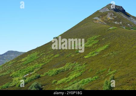 Catena dei Monti Cantabrici (alto Sil, León) nel nord della Spagna Foto Stock