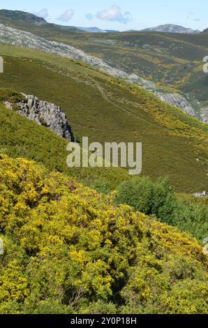 Catena dei Monti Cantabrici (alto Sil, León) nel nord della Spagna Foto Stock