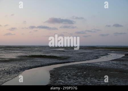 Tramonto sul bacino di Arcachon, tratto da Gujan Mestras, Gironde, Nouvelle-Aquitaine, Francia Foto Stock