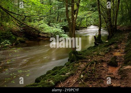 Il fiume Lyvennet scorre attraverso i boschi estivi, vicino a Kings Meaburn, Appleby, Cumbria, Regno Unito Foto Stock