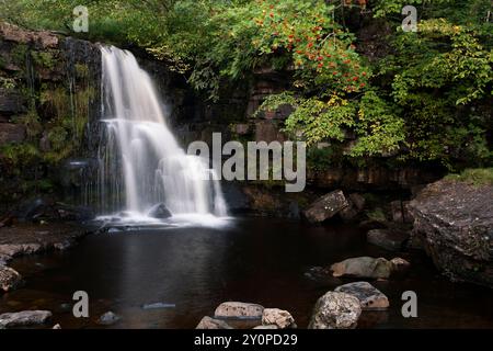 Cascata East Gill Force vicino a Keld, Swaedale, Yorkshire Dales, Regno Unito Foto Stock