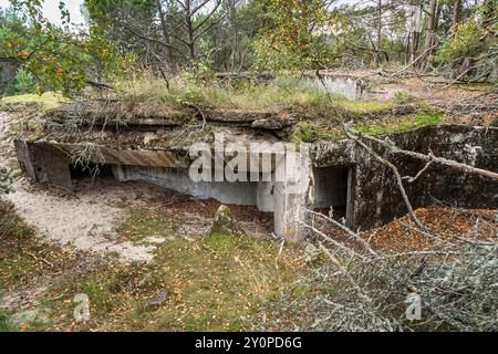 La vecchia costa di Batareya Raul nel parco nazionale Curonian Spit. Morskoe. Regione di Kaliningrad. Russia Foto Stock