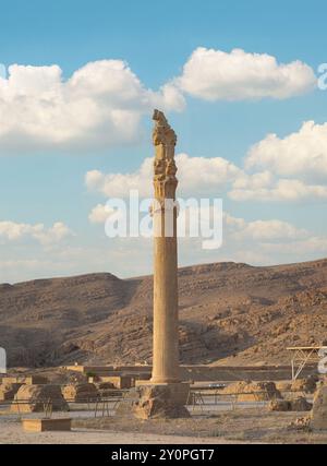 Una colonna torreggiante adornata con intricate incisioni a Persepoli, shiraz, iran Foto Stock