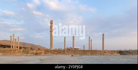 Palazzo Apadana a Persepoli, Iran Foto Stock