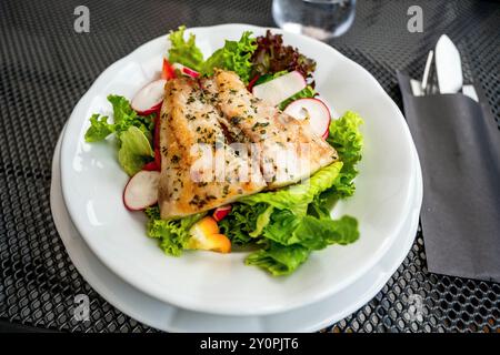 Filetto di pesce arrosto (zander) su foglia di lattuga verde fresca con ravanello su piatto bianco, posate, primo piano. Foto Stock