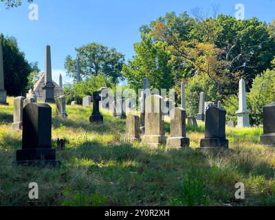 Vista all'interno del Green-wood Cemetery di Brooklyn, New York. Fondata nel 1838, è oggi un monumento storico nazionale. Foto Stock