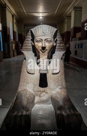 Museo Egizio (museo del Cairo), sfinge di granito di Hatshepsut (Hatchepsut), Cairo, Egitto, Nord Africa, Africa Foto Stock