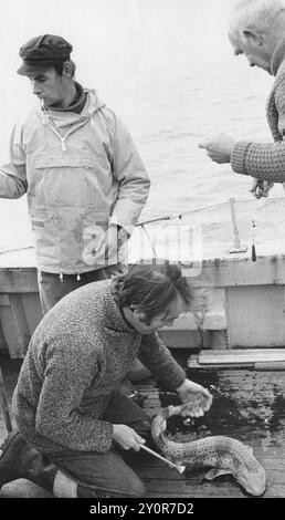 FISHERMAN TIMOTHY FUNGE-SMITH, IN PIEDI, DI HAYLING CHE HA ASSASSINATO IL DIRIGENTE DELL'IBM MICHAEL ROBERTSON, 1985 PIC MIKE WALKER 1985 Foto Stock