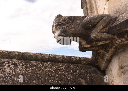 Gargoyle al Palazzo Papale di Avignone, Francia. Foto Stock