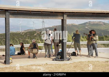 Birdwatching al punto di osservazione Cazalla vicino a Tarifa, birdwatching, raptor watching, Andalusia, Spagna. Foto Stock