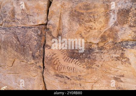 Fotografia di un petroglifo nel Nine Mile Canyon, famoso per i suoi petroglifi nativi americani, in una giornata estiva. Vicino a Price, Utah, Stati Uniti. Foto Stock