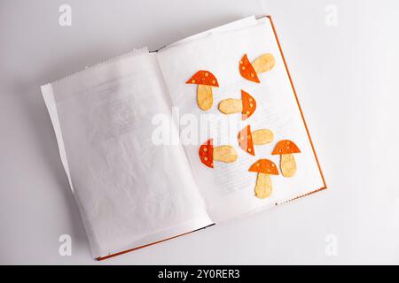 Un primo piano di artigianato fatto di buccia secca di mandarino disidratata a forma di funghi essiccati su libro, arte popolare, decorazione artigianale invernale o natalizia, fai da te , Foto Stock