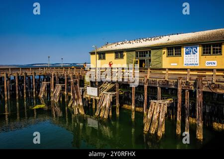 Port Townsend Marine Science Center, Washington State, Stati Uniti Foto Stock