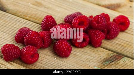 Fresche e mature rosso lampone bacche closeup Foto Stock