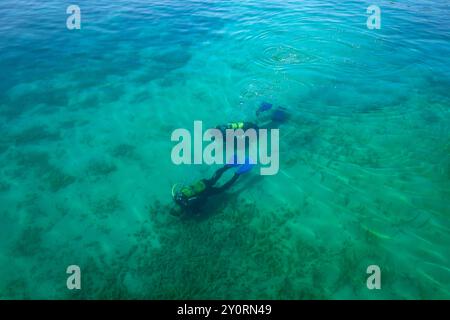 Subacquei in tute da immersione nere, uomo e donna con bottiglie di ossigeno affondano sotto l'acqua blu trasparente del lago di Ohrid. Foto Stock