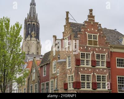 Edificio storico in mattoni con un'alta torre sullo sfondo e edifici circostanti, Delft, Paesi Bassi Foto Stock