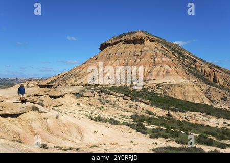 Un uomo e un cane in un arido paesaggio desertico corrono verso una grande collina sotto un cielo limpido, il Parco naturale Bardenas Reales, deserto, semi-deserto, Navarra, N Foto Stock