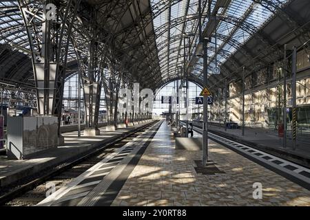 Binario 22 e 23, stazione ferroviaria principale, Francoforte sul meno, Assia, Germania, Europa Foto Stock