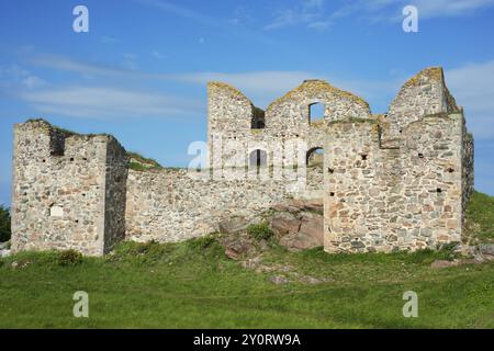 Brahehus, Graenna, SmalandBrahehus rovine del castello di Graenna, costruito da per Brahe nel 1637 e bruciato nel 1708, comune di Joenkoeping, conte di Smaland Foto Stock