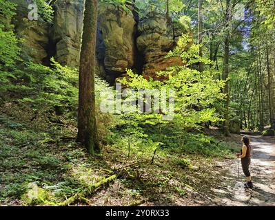 Bizzarri paesaggi di rocce di arenaria rossa nel Sauerschweiz, parco naturale dell'Eifel meridionale, sentiero escursionistico, Bollendorf, Eifel, Renania-Palatinato, Ger Foto Stock