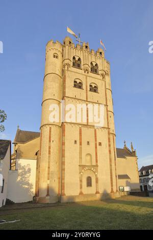 Collegiata gotica di San Martino e San Severo, Muenstermaifeld, Moseleifel, Eifel, Renania-Palatinato, Germania, Europa Foto Stock