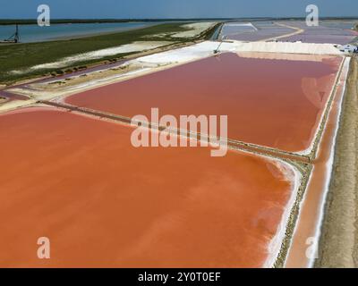 Vista aerea delle saline rosa accanto a una costa sotto un cielo limpido, vista aerea, Salinas de Bonanza, Sanlucar de Barrameda, Sanlucar de Barr Foto Stock
