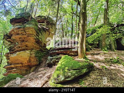Bizzarri paesaggi di rocce di arenaria rossa nel Sauerschweiz, parco naturale dell'Eifel meridionale, sentiero escursionistico, Bollendorf, Eifel, Renania-Palatinato, Ger Foto Stock
