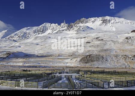 Recinzioni in legno disposte a cerchio di fronte a una catena montuosa innevata sotto un cielo azzurro, un ovino, un inverno, Oexnadalur, Akureyri, Islanda, Foto Stock