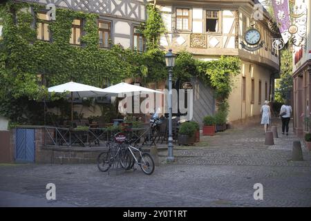 Hotel Gasthof Krone, casa in legno, idillio, pianta, Lohr am Main, bassa Franconia, Franconia, Spessart, Baviera, Germania, Europa Foto Stock