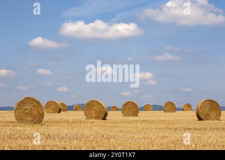 Balle di paglia su un campo di stoppia, Viehstrich, Palatinato meridionale, Palatinato, Renania-Palatinato, Germania, Europa Foto Stock