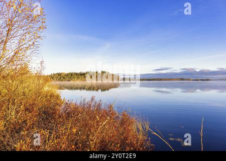 Vista panoramica su un lago con acque calme e riflessi nell'acqua e splendidi colori autunnali sulla foresta vicino alla spiaggia Foto Stock