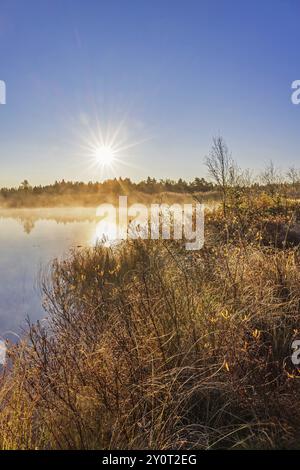 Sole con raggi di sole su un lago vicino a una palude con nebbia mattutina in autunno Foto Stock