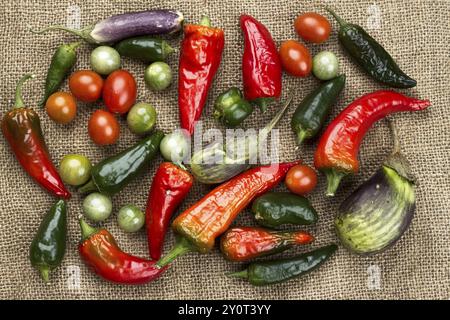 Una foto piatta di verdure assortite a base di melanzane, peperoni e pomodori ciliegini su burlap Foto Stock