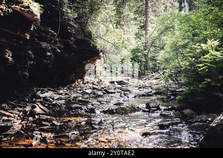 Pareti rocciose e scogliere lungo il sentiero del letto del torrente fino alla cascata Devils Bathtub a Spearfish Canyon, South Dakota Foto Stock