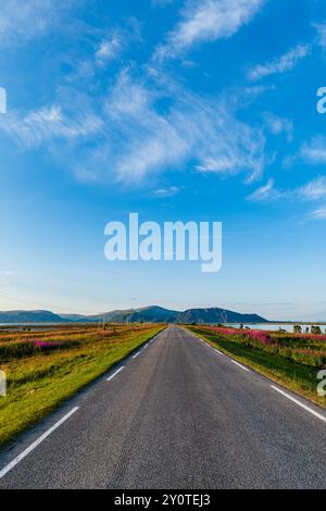 Paesaggio panoramico di Andoya con una lunga strada rettilinea che conduce all'orizzonte in Norvegia. Itinerario turistico nazionale in Norvegia. Itinerario turistico nazionale su Andoya, Nordland, Norvegia Foto Stock