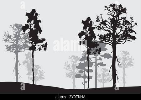Alberi di sagoma della foresta. Illustrazione vettoriale. Illustrazione Vettoriale