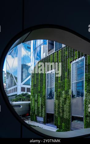 Vista di edifici moderni con un muro verde da una finestra circolare. Foto Stock