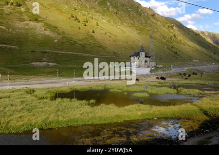 Port de la Bonaigua, provincia di Lleida, Catalogna, Spagna Foto Stock